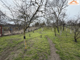H-004992 - 