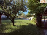H-004993 - 