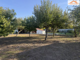 H-004993 - 