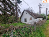 T-004418 - 