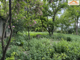 VT-004469 - 