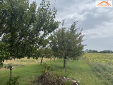 VT-004565 - 