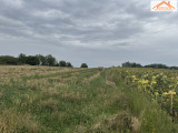 VT-004565 - 
