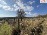 VT-004656 - 
