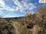 VT-004656 - 