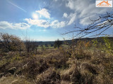 VT-004656 - 