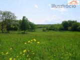 VT-004690 - 