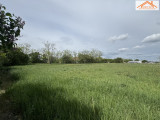 VT-004824 - 