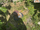 VT-004847 - 