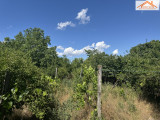 VT-004888 - 