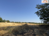VT-004937 - 