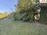 T-004995 - 
